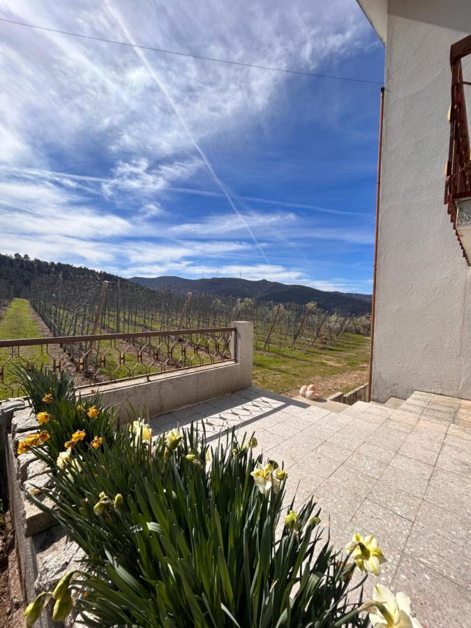 Casa Vicente Villa Lamego Exterior photo